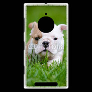 Coque Nokia Lumia 830 Petit Bulldog anglais