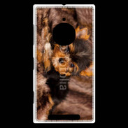 Coque Nokia Lumia 830 Chiot Yorkshire 10