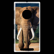 Coque Nokia Lumia 830 Éléphant de face