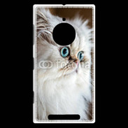Coque Nokia Lumia 830 Magnifique chat persan aux yeux bleus