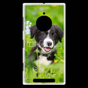 Coque Nokia Lumia 830 Chiot Border Collie 100