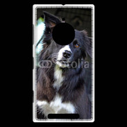 Coque Nokia Lumia 830 Border collie 500