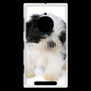 Coque Nokia Lumia 830 Chiot Shitzu 100