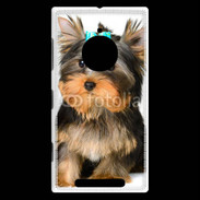Coque Nokia Lumia 830 Yorkshire et nœud bleu 15