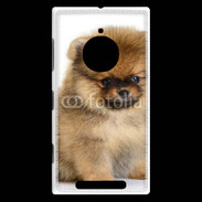 Coque Nokia Lumia 830 Chiot Pomeranian 15