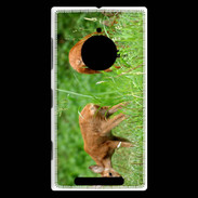 Coque Nokia Lumia 830 Chevreuil PB 1