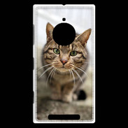 Coque Nokia Lumia 830 Portrait de chat PR