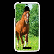 Coque HTC Desire 510 Cheval arabe robe marron et blanche
