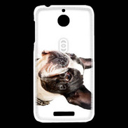 Coque HTC Desire 510 Bulldog français 1