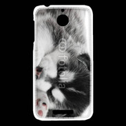 Coque HTC Desire 510 Chiot Husky