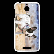 Coque HTC Desire 510 Bulldog français nain