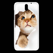 Coque HTC Desire 610 Chaton caché