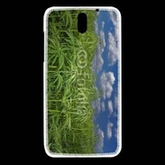 Coque HTC Desire 610 Champs de cannabis