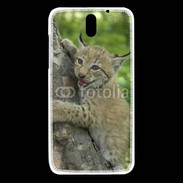 Coque HTC Desire 610 Bébé Lynx