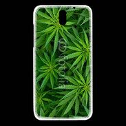 Coque HTC Desire 610 Feuilles de marijuana