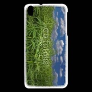 Coque HTC Desire 816 Champs de cannabis