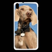 Coque HTC Desire 816 Chien de chasse Braque