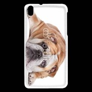 Coque HTC Desire 816 Bulldog anglais 2