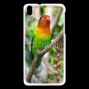 Coque HTC Desire 816 Oiseau Inséparable