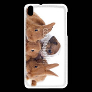 Coque HTC Desire 816 Gardien de lapins