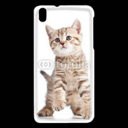 Coque HTC Desire 816 Adorable chaton 7