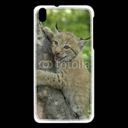 Coque HTC Desire 816 Bébé Lynx