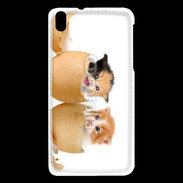 Coque HTC Desire 816 Chaton dans des coquilles d'oeuf