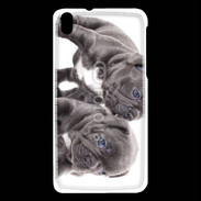 Coque HTC Desire 816 Duo de bulldog français 5