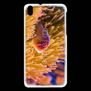 Coque HTC Desire 816 Poisson tropical 15