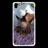 Coque HTC Desire 816 Cheval sentant la lavande 