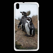 Coque HTC Desire 816 2 pingouins