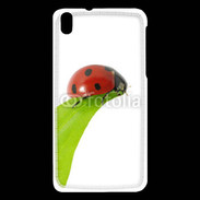 Coque HTC Desire 816 Belle coccinelle 10