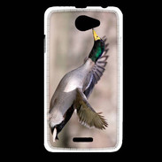 Coque HTC Desire 516 Canard Colvert 2
