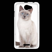 Coque HTC Desire 516 Chat siamois 25