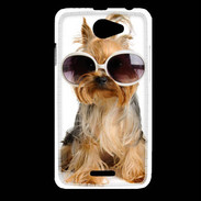 Coque HTC Desire 516 Chien Yorkie avec lunette de soleil
