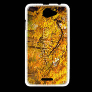 Coque HTC Desire 516 Arbres en automne