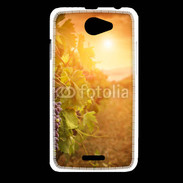 Coque HTC Desire 516 Automne, vignes, couché de soleil