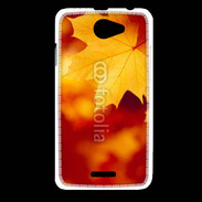 Coque HTC Desire 516 feuilles d'automne