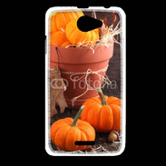 Coque HTC Desire 516 Citrouilles 3