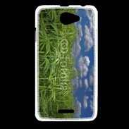 Coque HTC Desire 516 Champs de cannabis