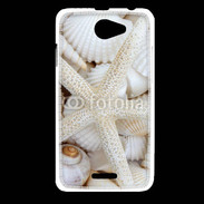 Coque HTC Desire 516 Coquillage et étoile de mer