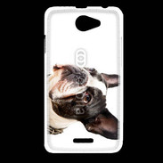 Coque HTC Desire 516 Bulldog français 1