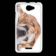 Coque HTC Desire 516 Bulldog anglais 2