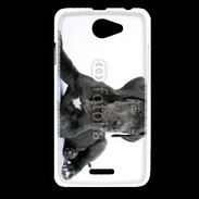 Coque HTC Desire 516 Dogue allemand noir