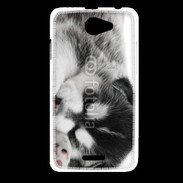 Coque HTC Desire 516 Chiot Husky
