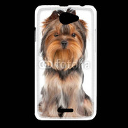 Coque HTC Desire 516 Yorkshire Terrier