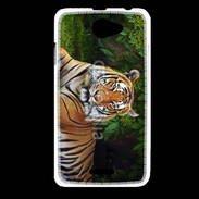 Coque HTC Desire 516 Tigre de Sumatra