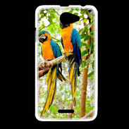 Coque HTC Desire 516 Duo de perroquets