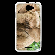 Coque HTC Desire 516 Elephant d'Afrique