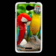 Coque HTC Desire 516 Couple de perroquets